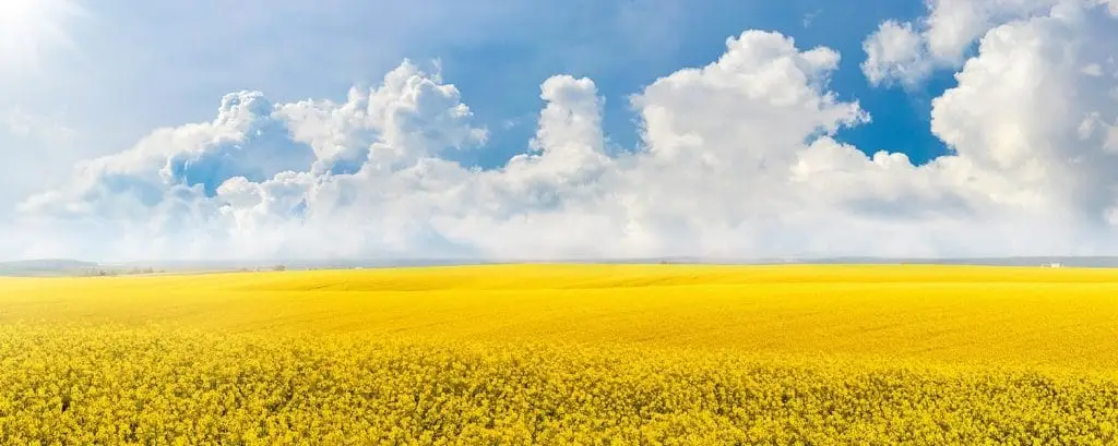 Open space